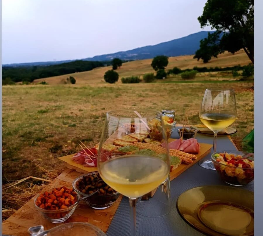 Agriturismo Poggio Degli Ulivi主图