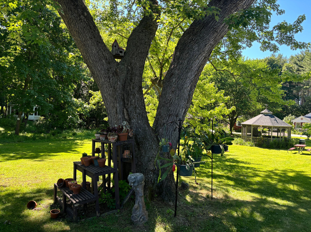 Pride Motel & Cottages主图