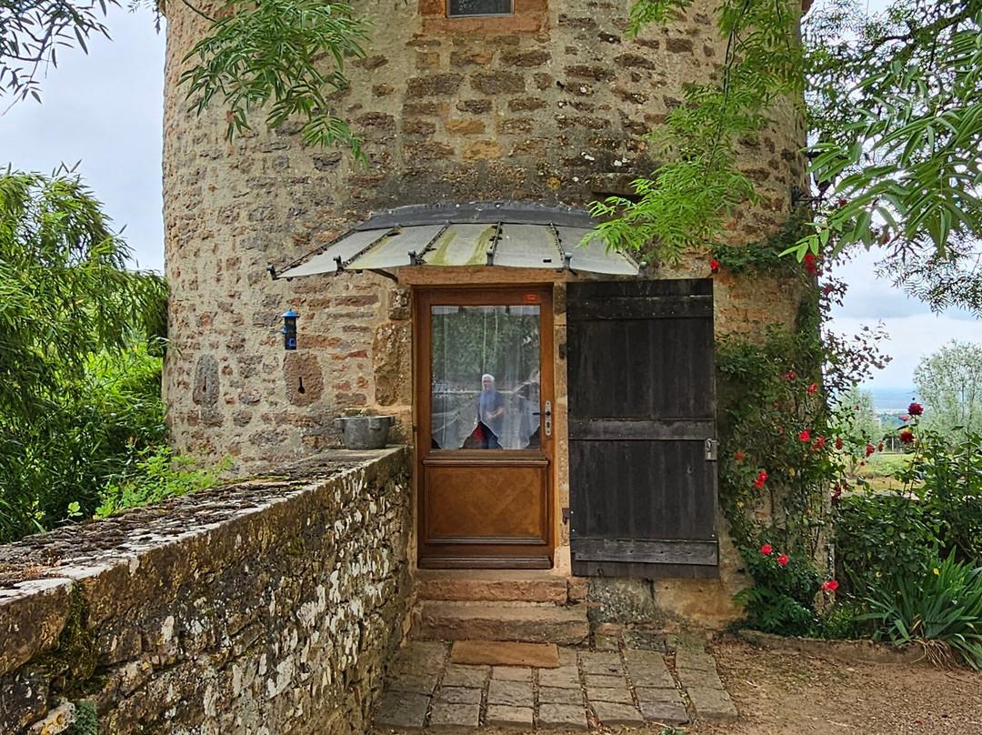 Chateau de Salornay景点图片