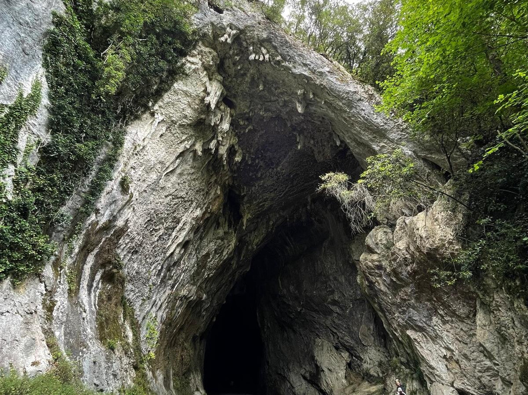 Cueva Covalanas-Ramales de la Victoria必去景点