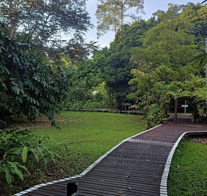 Mulu National Park主图