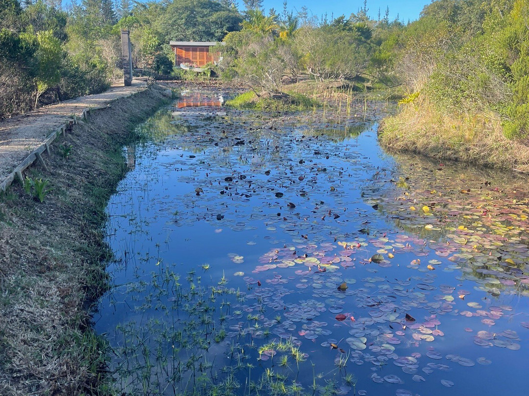 Forest Nature Spa-The Crags必去景点