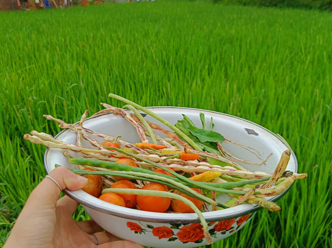 Jaya Tetebatu Tour Guide-Tetebatu必去景点