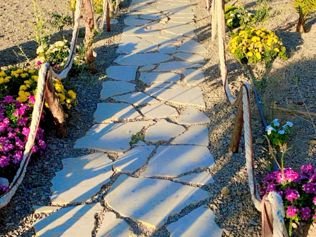 Tabuk Castle-Tabouk必去景点