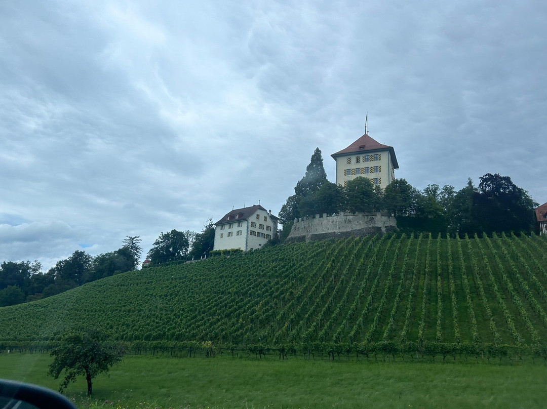 Schloss Heidegg-Gelfingen必去景点