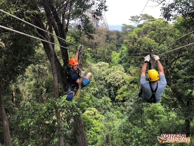 Kohala Zipline-哈威必去景点
