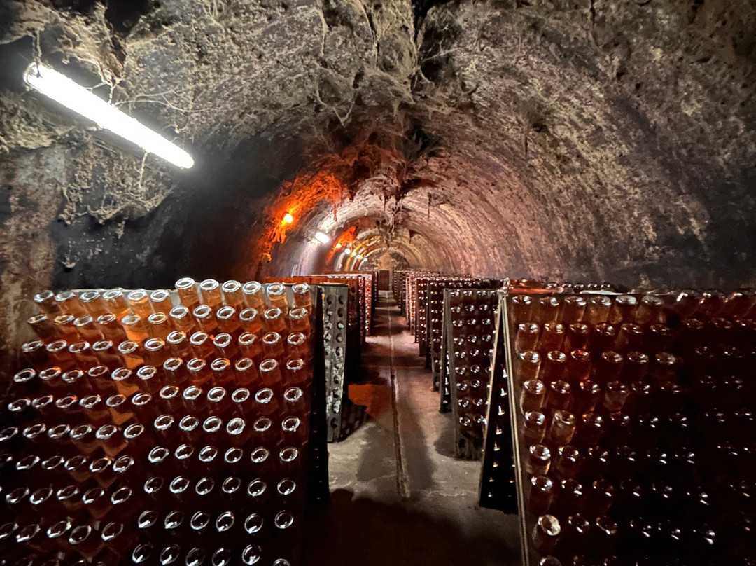 Caves Messias景点图片
