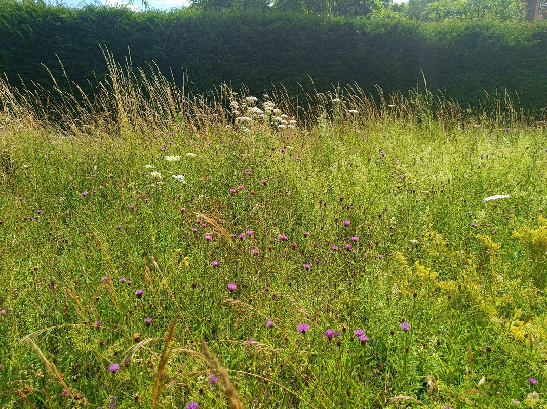University of Bristol Botanic Garden-布里斯托尔必去景点