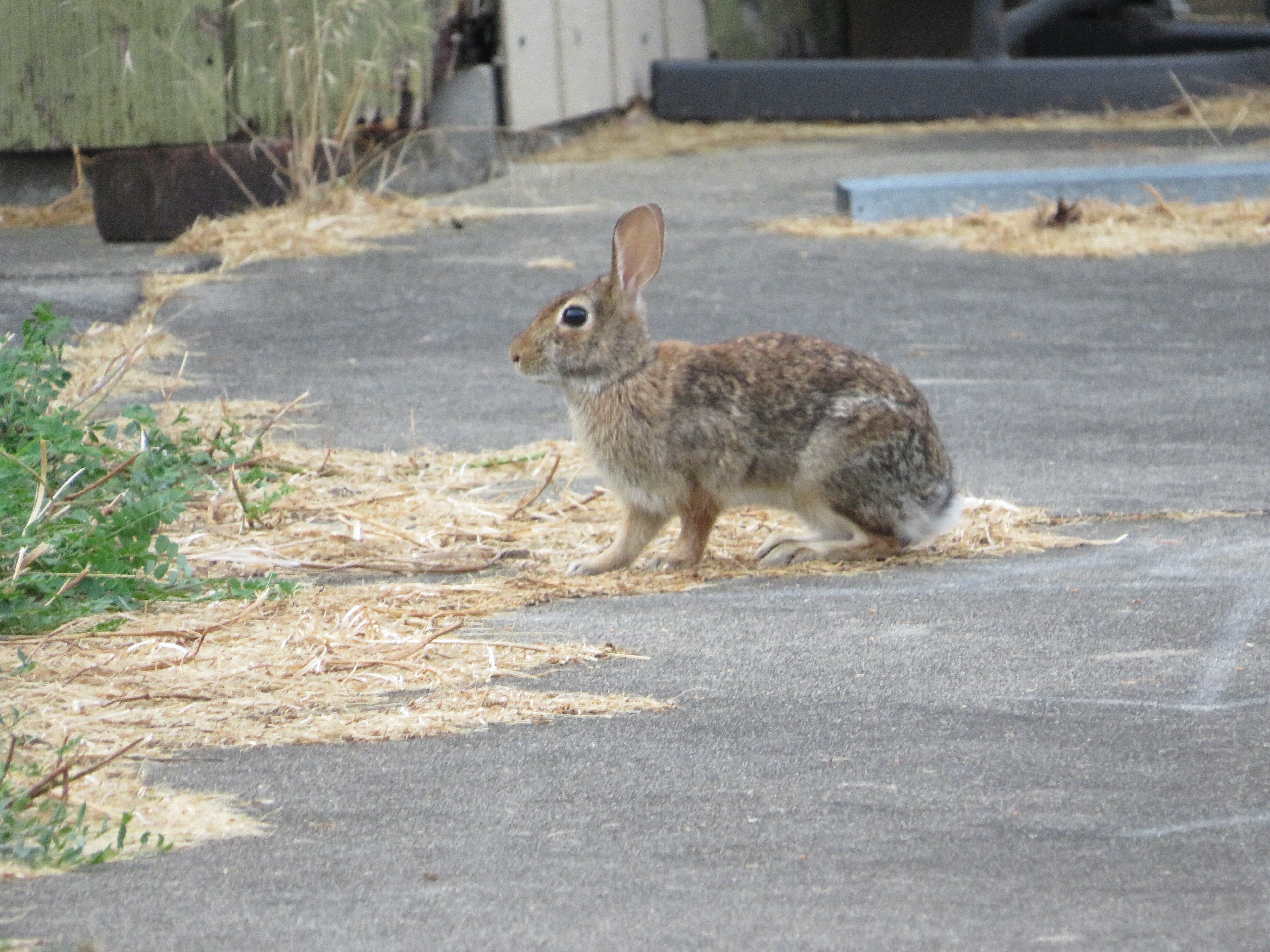 Motel 6 Carlisle, PA - Cumberland Valley-浴室
