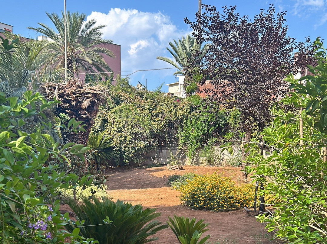 B&B Ippocastano主图