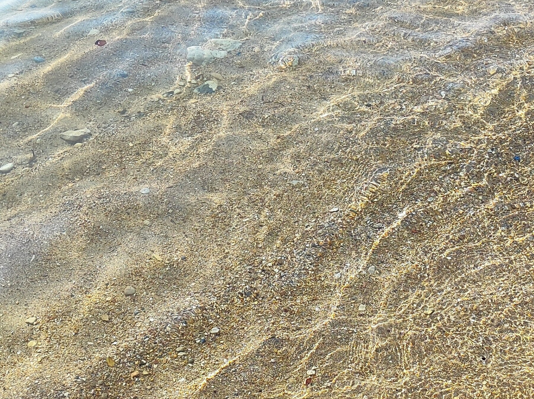 Agia Paraskevi Beach-帕蒂卡必去景点