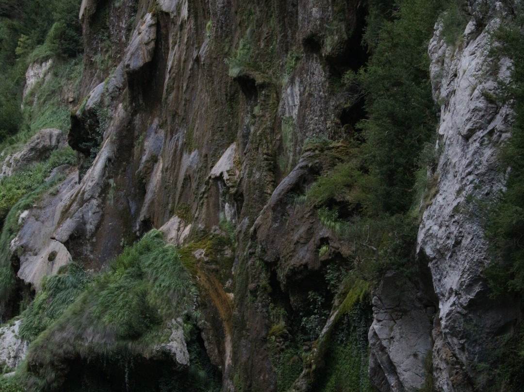 La Rafting Company景点图片