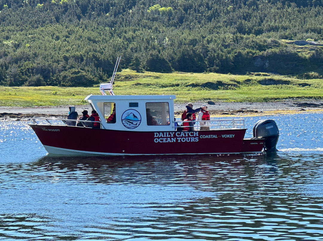 Daily Catch Ocean Tours