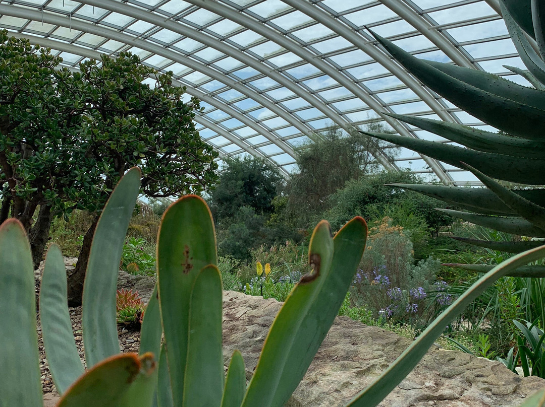 Botanical Gardens景点图片