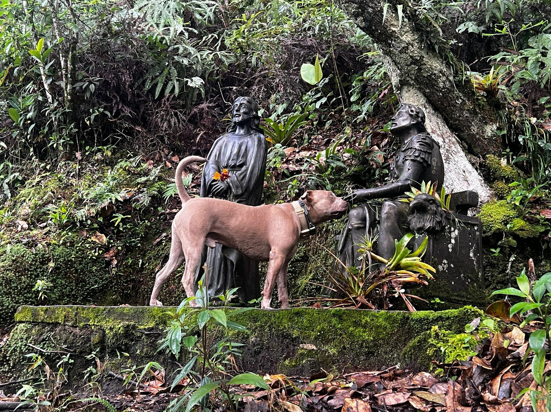 Sendero Santuario Virgen Del Coro