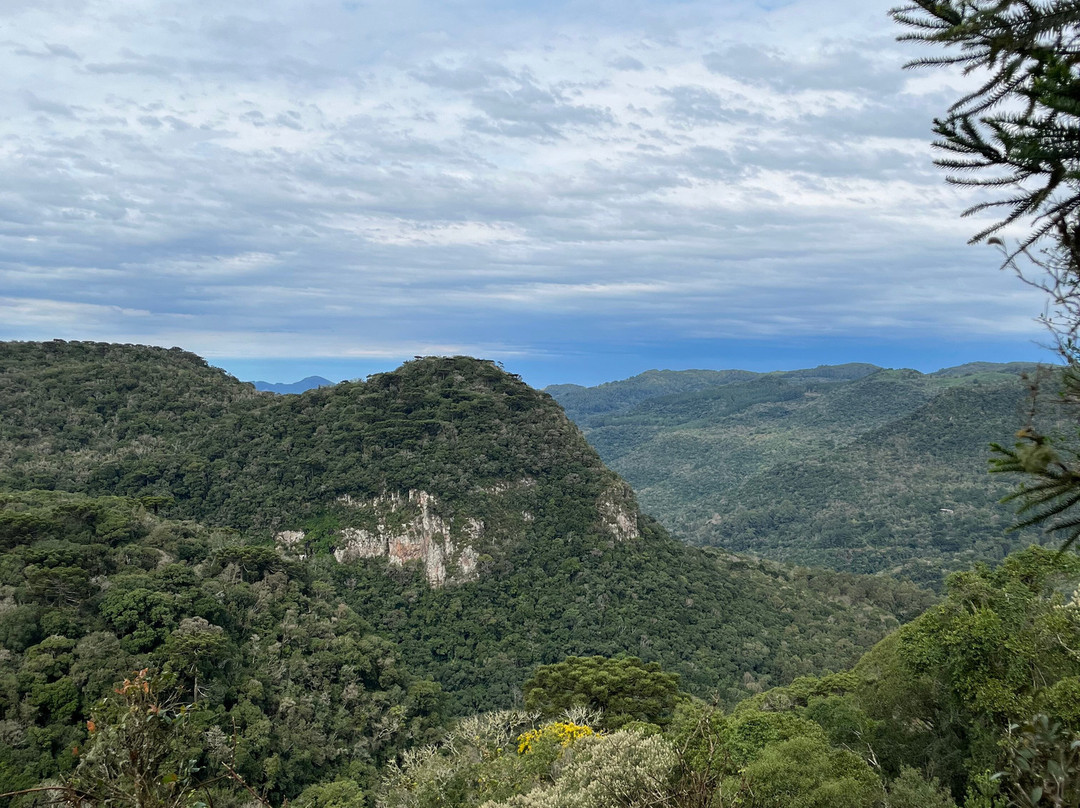 Parque Natural Municipal da Ronda