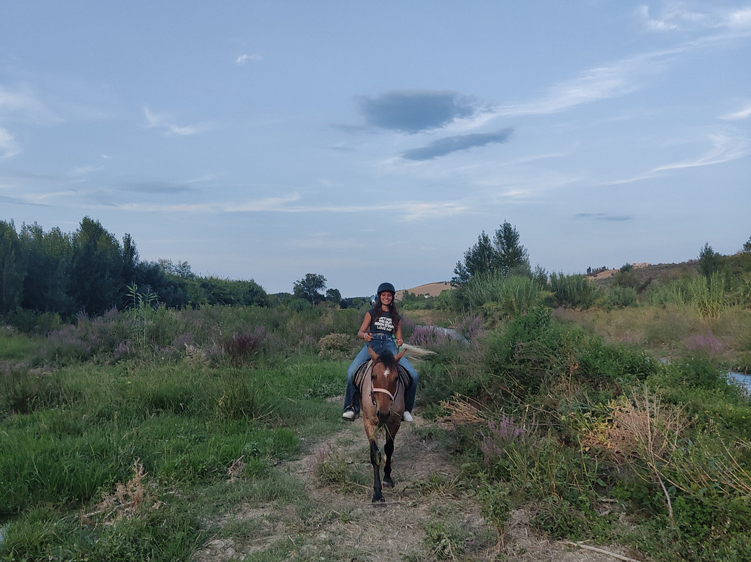 WILD WEST ABRUZZO-Mosciano Sant'Angelo必去景点