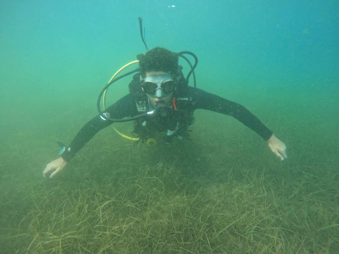 Zoumbosub Diving Center-沃洛斯必去景点