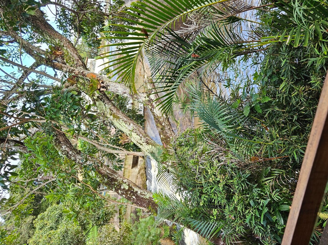 Hotel Vale do Jiquiriçá主图