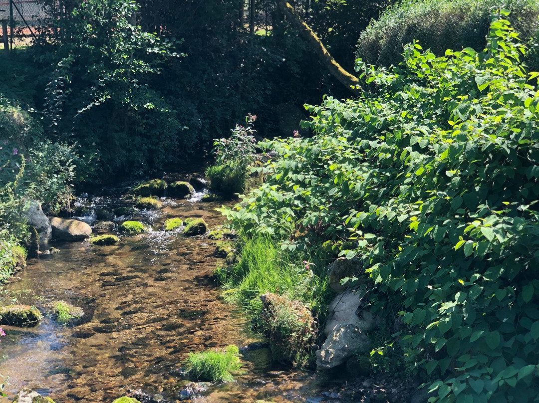 Naturerlebnisbad景点图片