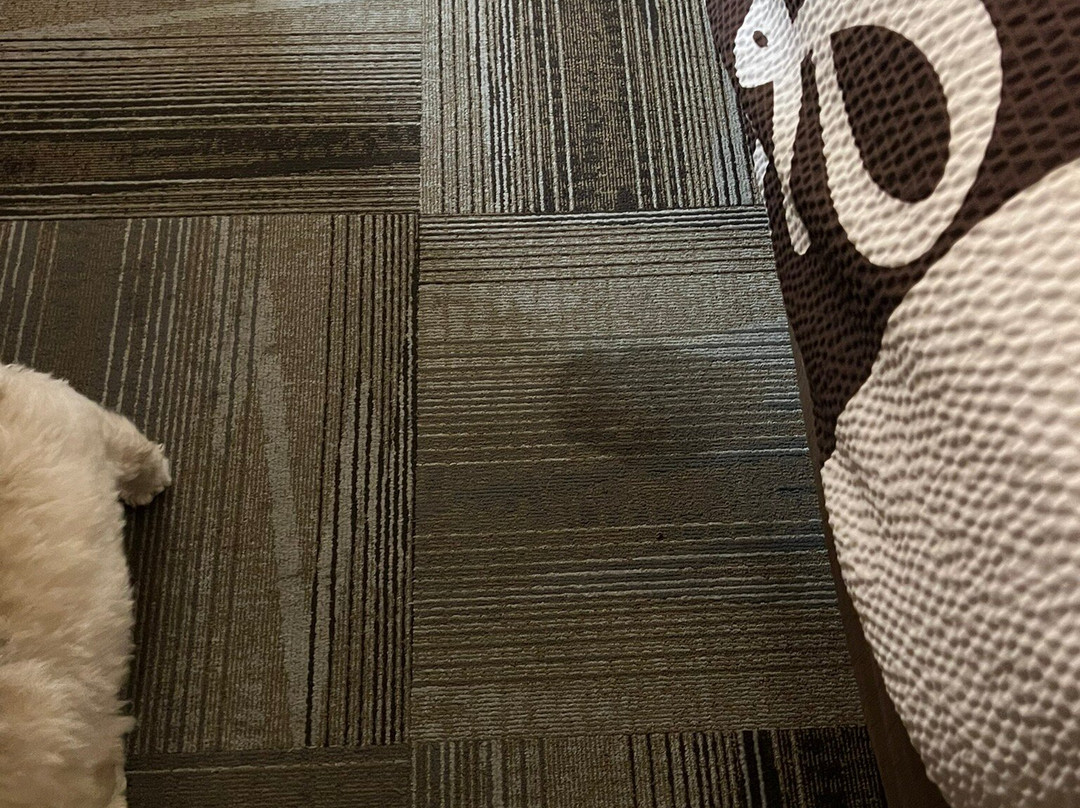 拉科恩塔艾达荷福尔斯旅馆和套房酒店主图