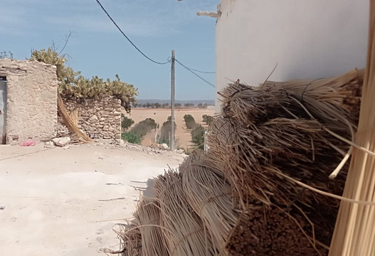 Berberlands - Day Tours-索维拉必去景点