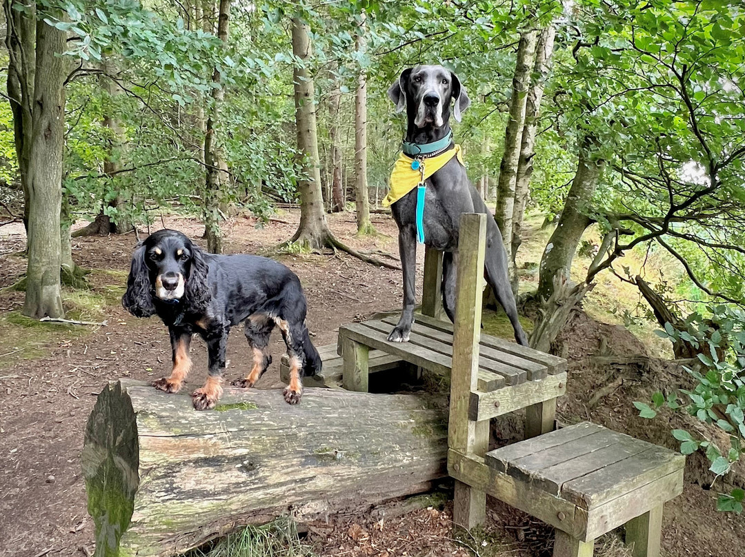 Butterdean Wood-Haddington必去景点