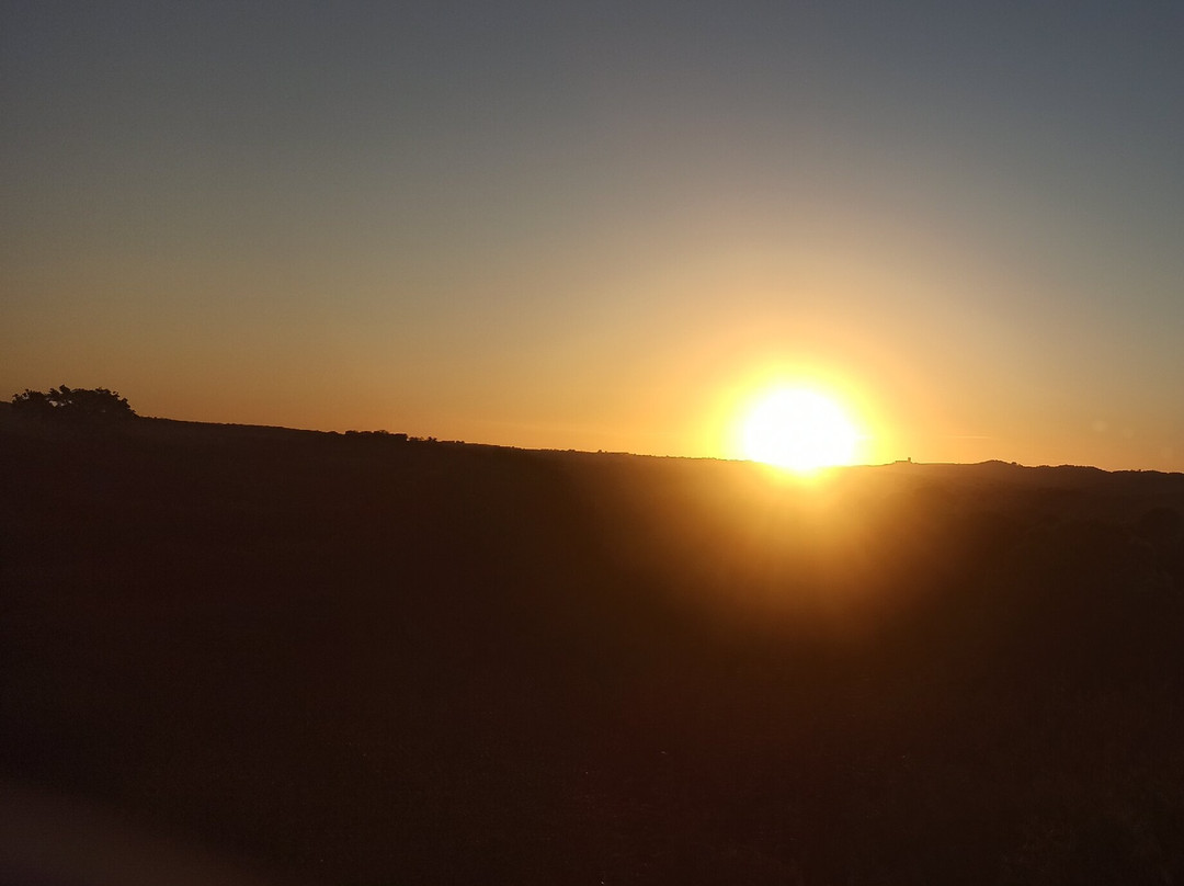 Herdade Do Rio Torto主图