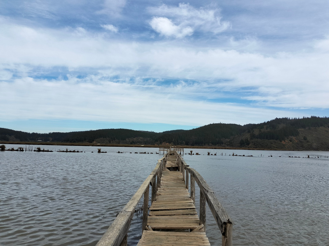 Chile Inexplorado Expediciones-皮钦勒姆必去景点