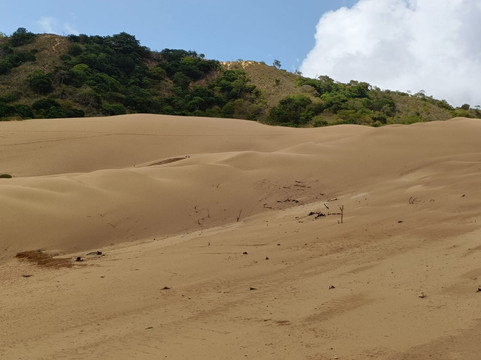 Guajira Tours-Riohacha必去景点