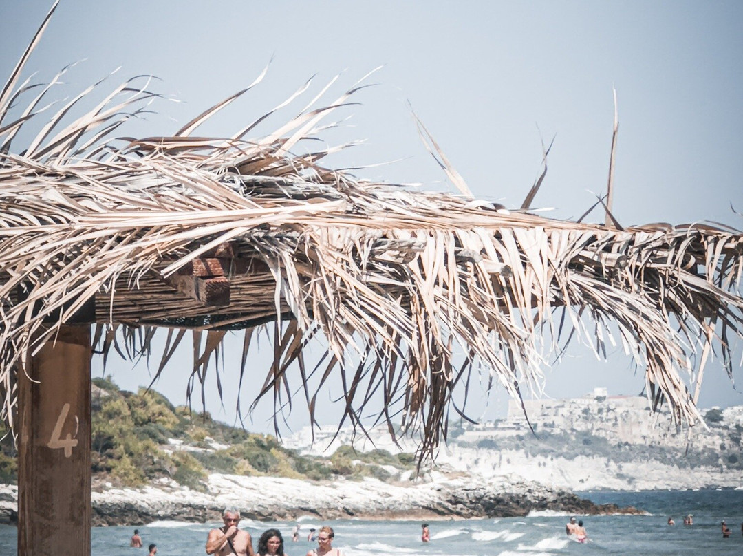 Ultima Spiaggia beach-维耶斯泰必去景点