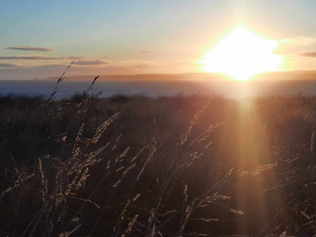 亚瑟菲利普汽车旅馆主图