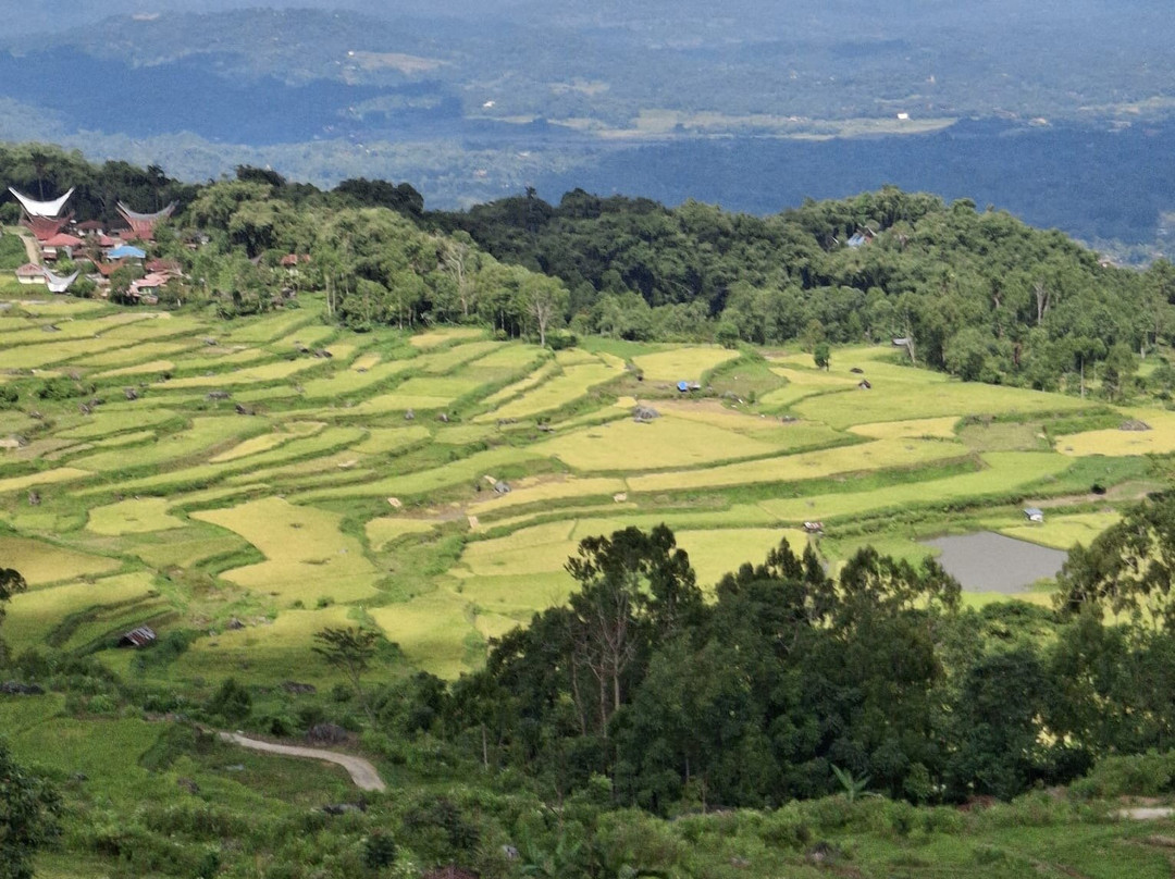 Sulawesi Culture and Nature Tour景点图片