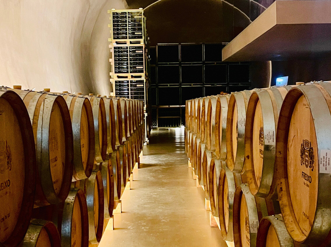 Herdade do Freixo-Redondo必去景点