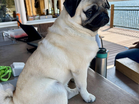 Lake Estes Marina & Tackle Shop-埃斯蒂斯公园必去景点