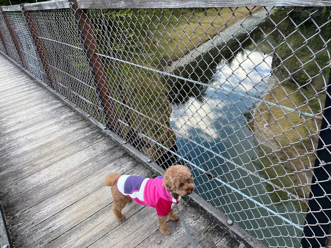 Mikaeri Suspension Bridge-那须盐原市必去景点