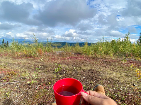 Arctic Dog Adventure Co.-费尔班克斯必去景点