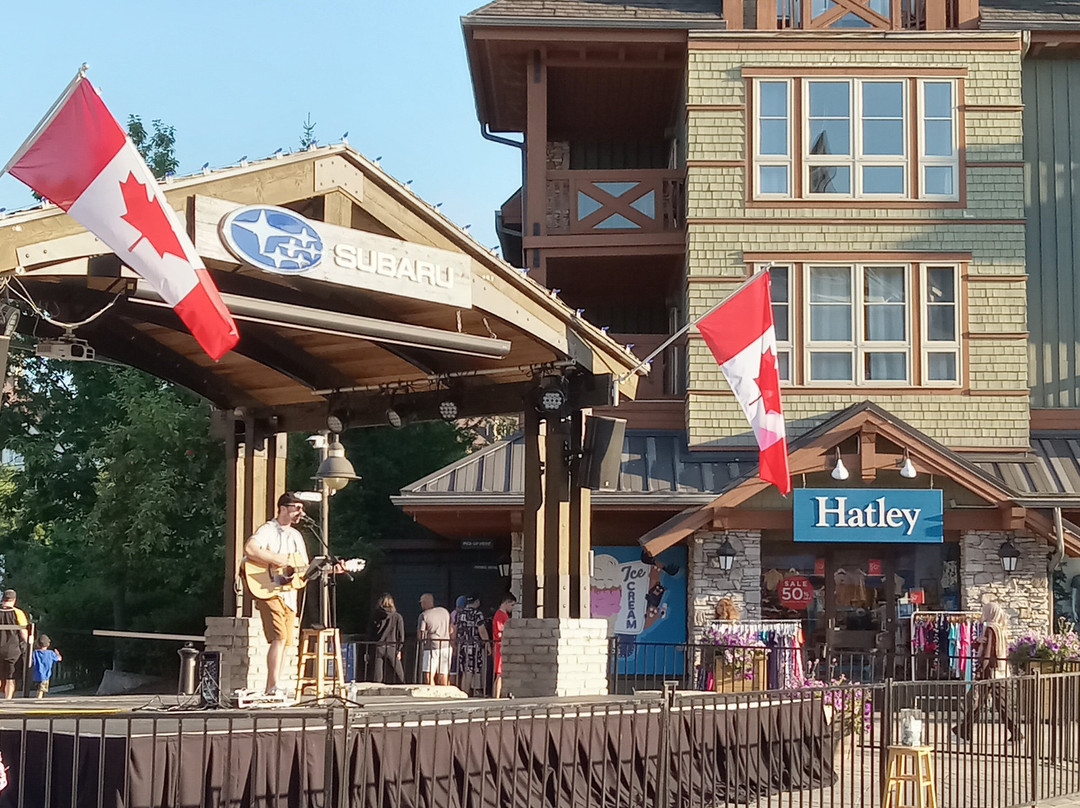 Village Suites by Blue Mountain Resort主图