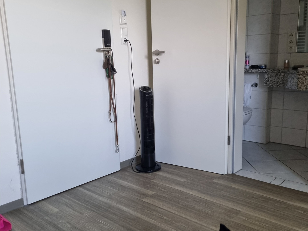 摩尔森酒店主图