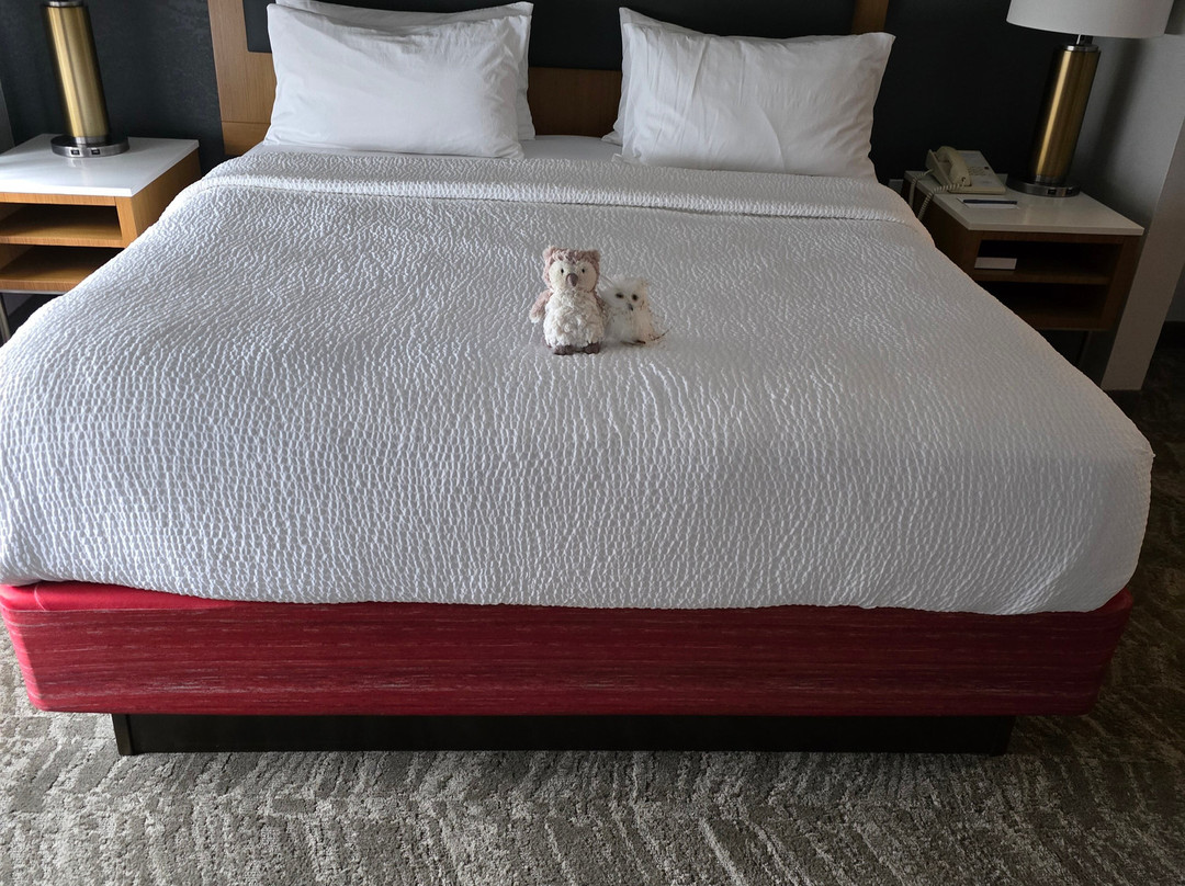 SpringHill Suites by Marriott Providence West Warwick主图