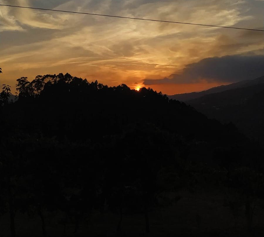 Quinta De Calvelos主图