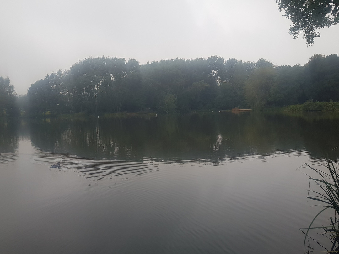 Allestree Park-德比必去景点