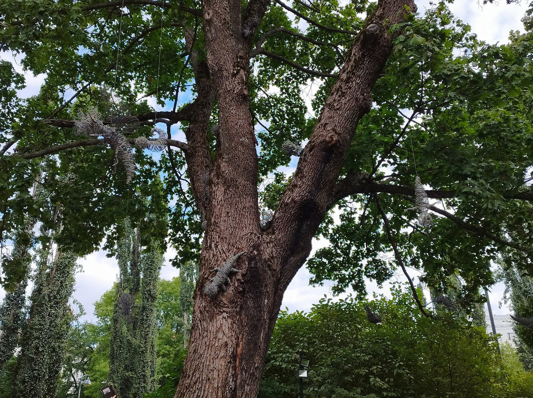 Kotka Sculpture Promenade-科特卡必去景点