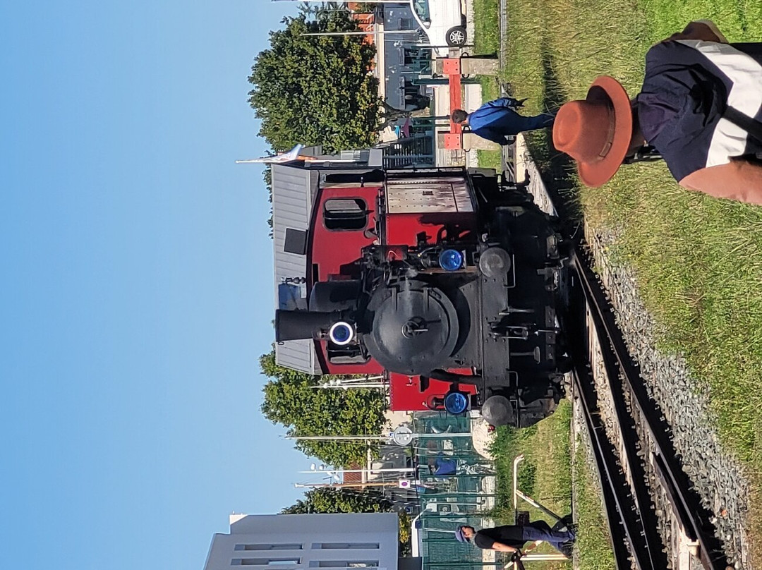 Le Train Des Mouettes景点图片