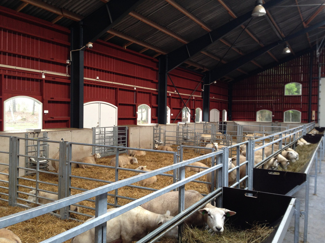 Ulkeröds Gård-Hedekas必去景点