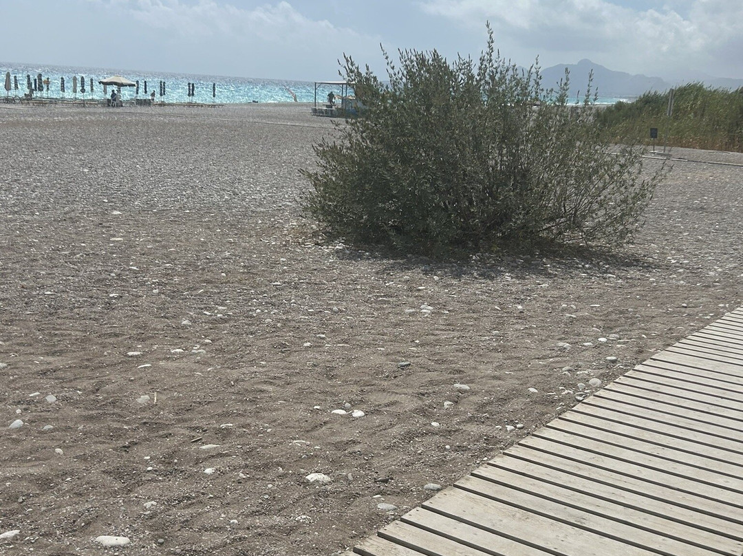 Traganou Beach景点图片