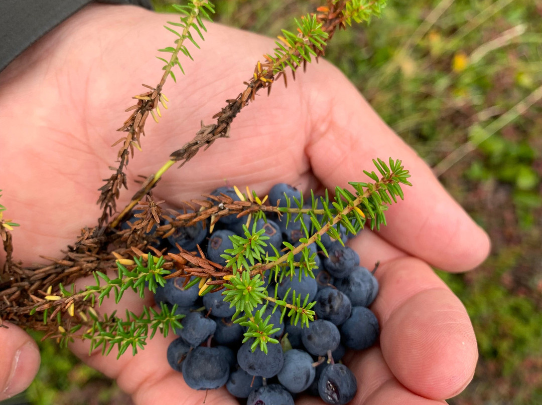 Vkus Kamchatki-堪察加彼得巴甫洛夫斯克必去景点