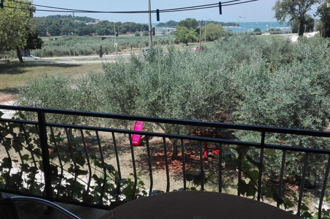 Guesthouse Porec主图