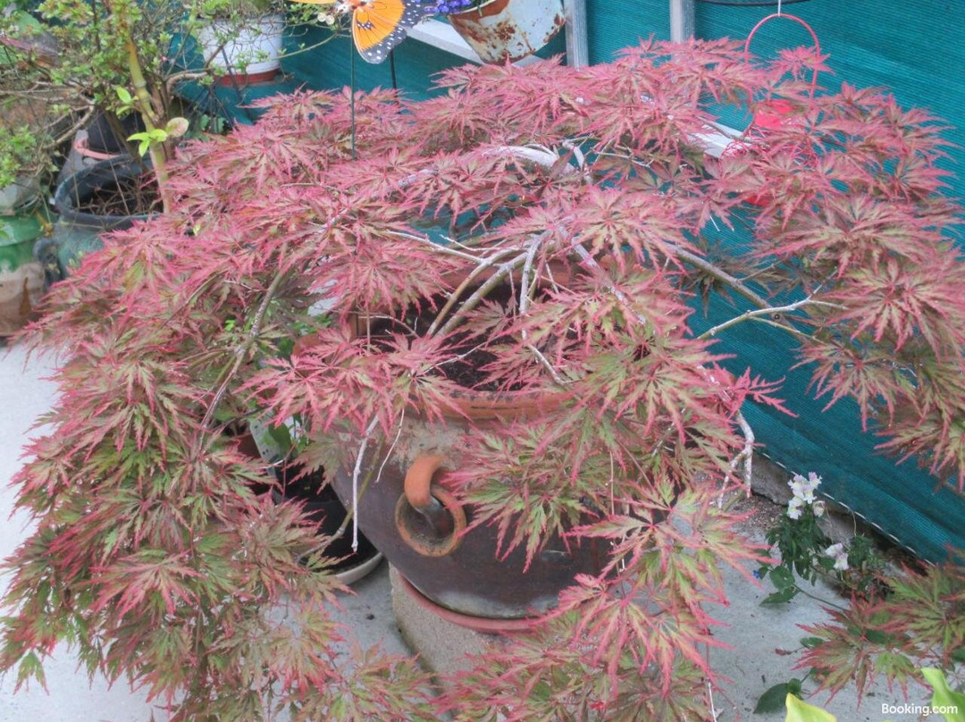 巴黎人酒店主图