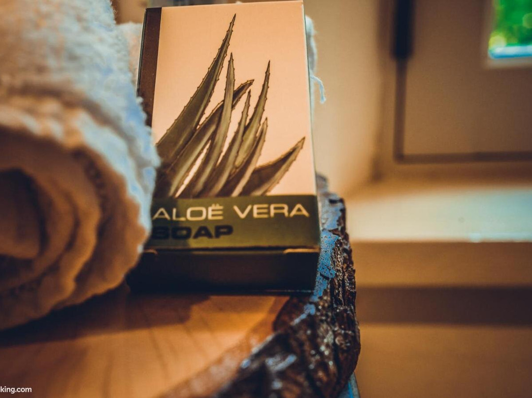 Gastenkamers Colonie 7主图